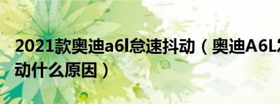 2021款奥迪a6l怠速抖动（奥迪A6L发动机抖动什么原因）