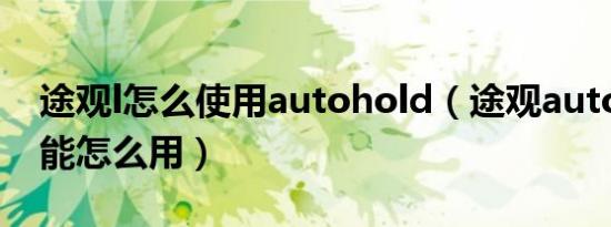 途观l怎么使用autohold（途观autohold功能怎么用）