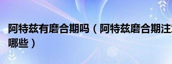 阿特兹有磨合期吗（阿特兹磨合期注意事项有哪些）