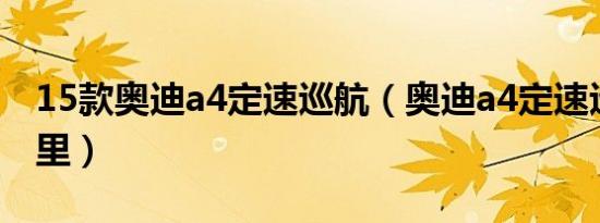 15款奥迪a4定速巡航（奥迪a4定速巡航在哪里）