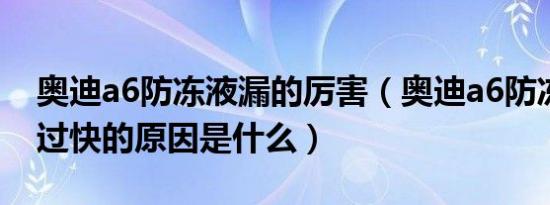 奥迪a6防冻液漏的厉害（奥迪a6防冻液消耗过快的原因是什么）