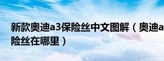新款奥迪a3保险丝中文图解（奥迪a3油泵保险丝在哪里）