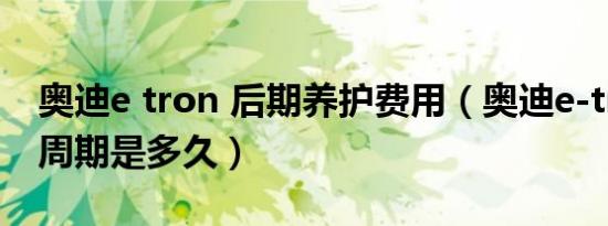 奥迪e tron 后期养护费用（奥迪e-tron保养周期是多久）