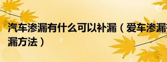 汽车渗漏有什么可以补漏（爱车渗漏有什么检漏方法）