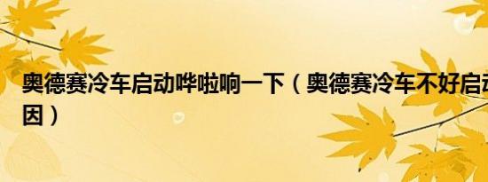 奥德赛冷车启动哗啦响一下（奥德赛冷车不好启动是什么原因）