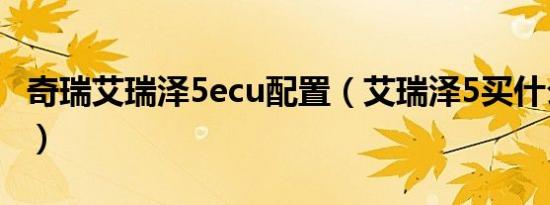 奇瑞艾瑞泽5ecu配置（艾瑞泽5买什么配置好）