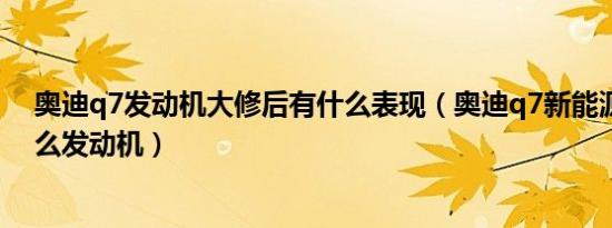 奥迪q7发动机大修后有什么表现（奥迪q7新能源用的是什么发动机）