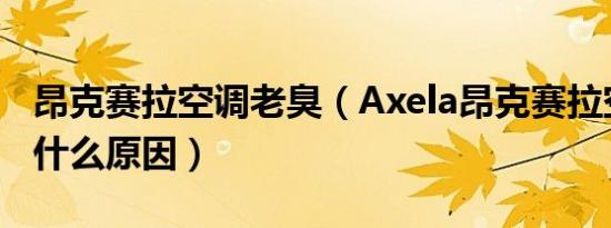 昂克赛拉空调老臭（Axela昂克赛拉空调臭味什么原因）