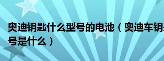 奥迪钥匙什么型号的电池（奥迪车钥匙电池型号是什么）