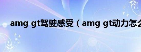 amg gt驾驶感受（amg gt动力怎么样）