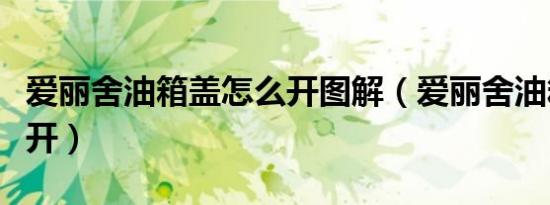 爱丽舍油箱盖怎么开图解（爱丽舍油箱盖怎么开）