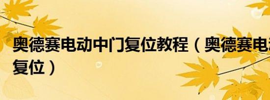 奥德赛电动中门复位教程（奥德赛电动门怎样复位）