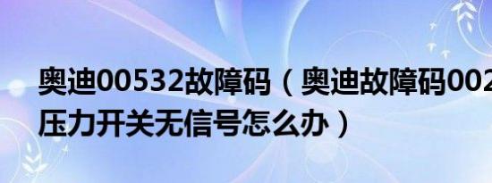 奥迪00532故障码（奥迪故障码00256空调压力开关无信号怎么办）