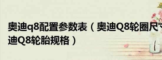 奥迪q8配置参数表（奥迪Q8轮圈尺寸大小 奥迪Q8轮胎规格）