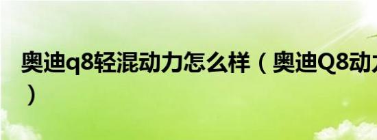 奥迪q8轻混动力怎么样（奥迪Q8动力怎么样）