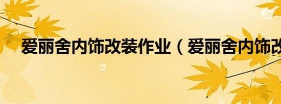 爱丽舍内饰改装作业（爱丽舍内饰改装）
