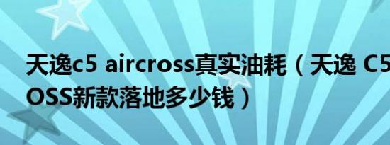 天逸c5 aircross真实油耗（天逸 C5 AIRCROSS新款落地多少钱）