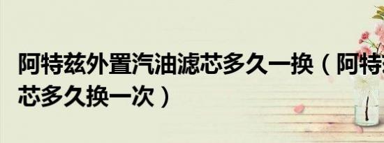 阿特兹外置汽油滤芯多久一换（阿特兹汽油滤芯多久换一次）