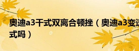 奥迪a3干式双离合顿挫（奥迪a3变速箱是干式吗）
