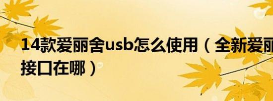 14款爱丽舍usb怎么使用（全新爱丽舍USB接口在哪）