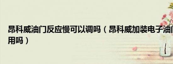 昂科威油门反应慢可以调吗（昂科威加装电子油门加速器有用吗）