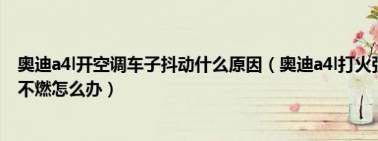 奥迪a4l开空调车子抖动什么原因（奥迪a4l打火强烈抖动打不燃怎么办）