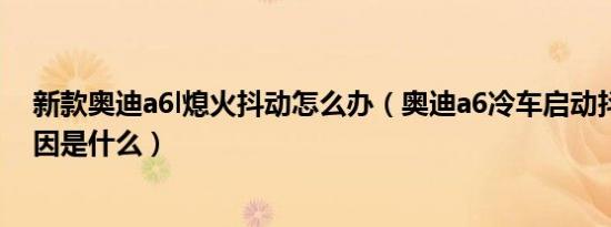 新款奥迪a6l熄火抖动怎么办（奥迪a6冷车启动抖动熄火原因是什么）