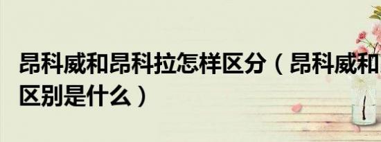 昂科威和昂科拉怎样区分（昂科威和昂科拉的区别是什么）