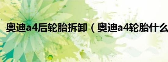 奥迪a4后轮胎拆卸（奥迪a4轮胎什么牌子）