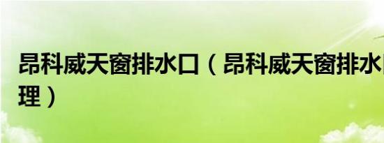 昂科威天窗排水口（昂科威天窗排水口怎么清理）