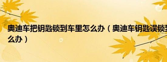 奥迪车把钥匙锁到车里怎么办（奥迪车钥匙误锁到了车里怎么办）