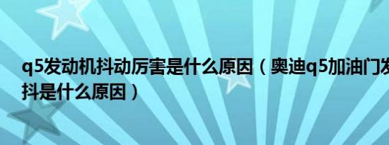 q5发动机抖动厉害是什么原因（奥迪q5加油门发动机会发抖是什么原因）