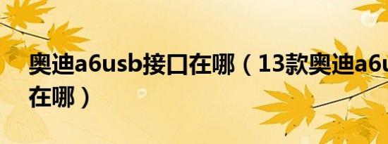 奥迪a6usb接口在哪（13款奥迪a6usb接口在哪）