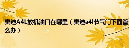 奥迪A4L放机油口在哪里（奥迪a4l节气门下面管子有机油怎么办）