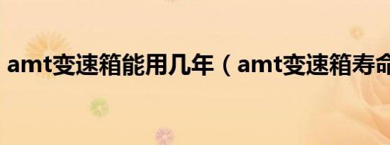 amt变速箱能用几年（amt变速箱寿命长吗）