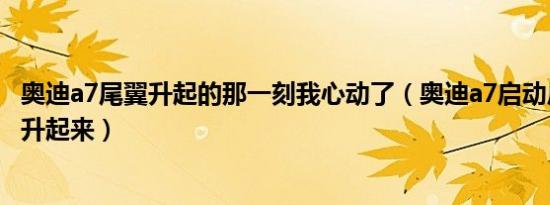 奥迪a7尾翼升起的那一刻我心动了（奥迪a7启动后尾翼怎么升起来）