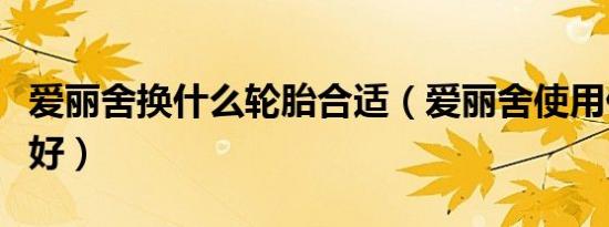爱丽舍换什么轮胎合适（爱丽舍使用什么轮胎好）