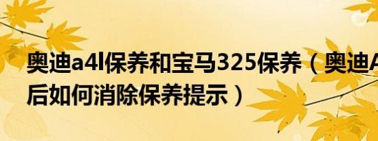 奥迪a4l保养和宝马325保养（奥迪A4L保养后如何消除保养提示）