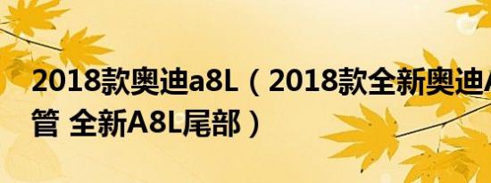 2018款奥迪a8L（2018款全新奥迪A8L排气管 全新A8L尾部）