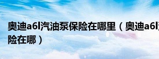 奥迪a6l汽油泵保险在哪里（奥迪a6l汽油泵保险在哪）