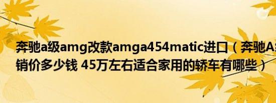 奔驰a级amg改款amga454matic进口（奔驰A级AMG促销价多少钱 45万左右适合家用的轿车有哪些）