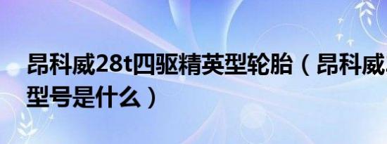 昂科威28t四驱精英型轮胎（昂科威28t轮胎型号是什么）