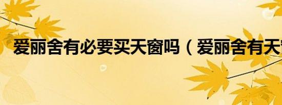爱丽舍有必要买天窗吗（爱丽舍有天窗吗）