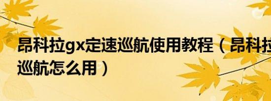 昂科拉gx定速巡航使用教程（昂科拉gx定速巡航怎么用）