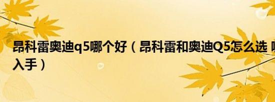 昂科雷奥迪q5哪个好（昂科雷和奥迪Q5怎么选 哪个更值得入手）