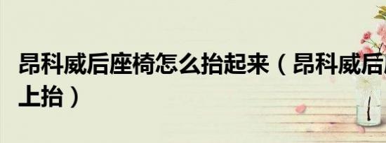 昂科威后座椅怎么抬起来（昂科威后座怎么往上抬）