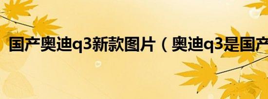 国产奥迪q3新款图片（奥迪q3是国产的吗）