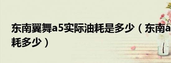 东南翼舞a5实际油耗是多少（东南a5翼舞油耗多少）