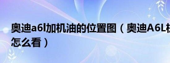奥迪a6l加机油的位置图（奥迪A6L机油油位怎么看）