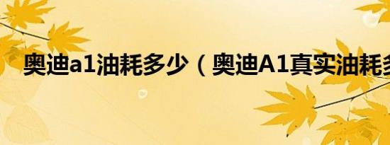 奥迪a1油耗多少（奥迪A1真实油耗多少）